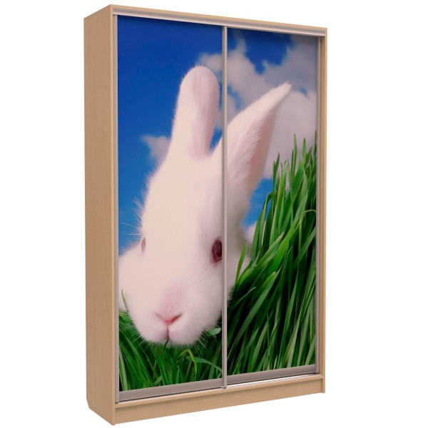 Шафа-купе «ШН-116» Фотодрук/Фотодрук