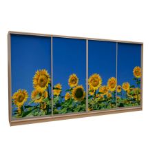 Шафа-купе «ШН-406» Фотодрук/Фотодрук/Фотодрук/Фотодрук